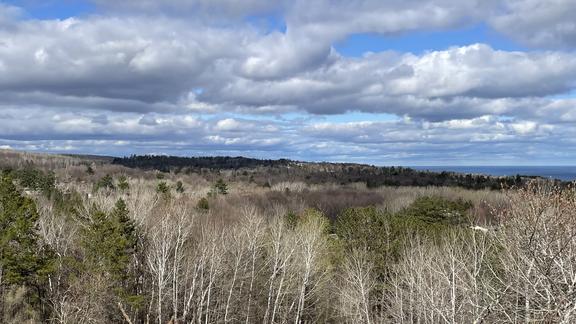 Bagley Nature Area panoramic view of Duluth in April