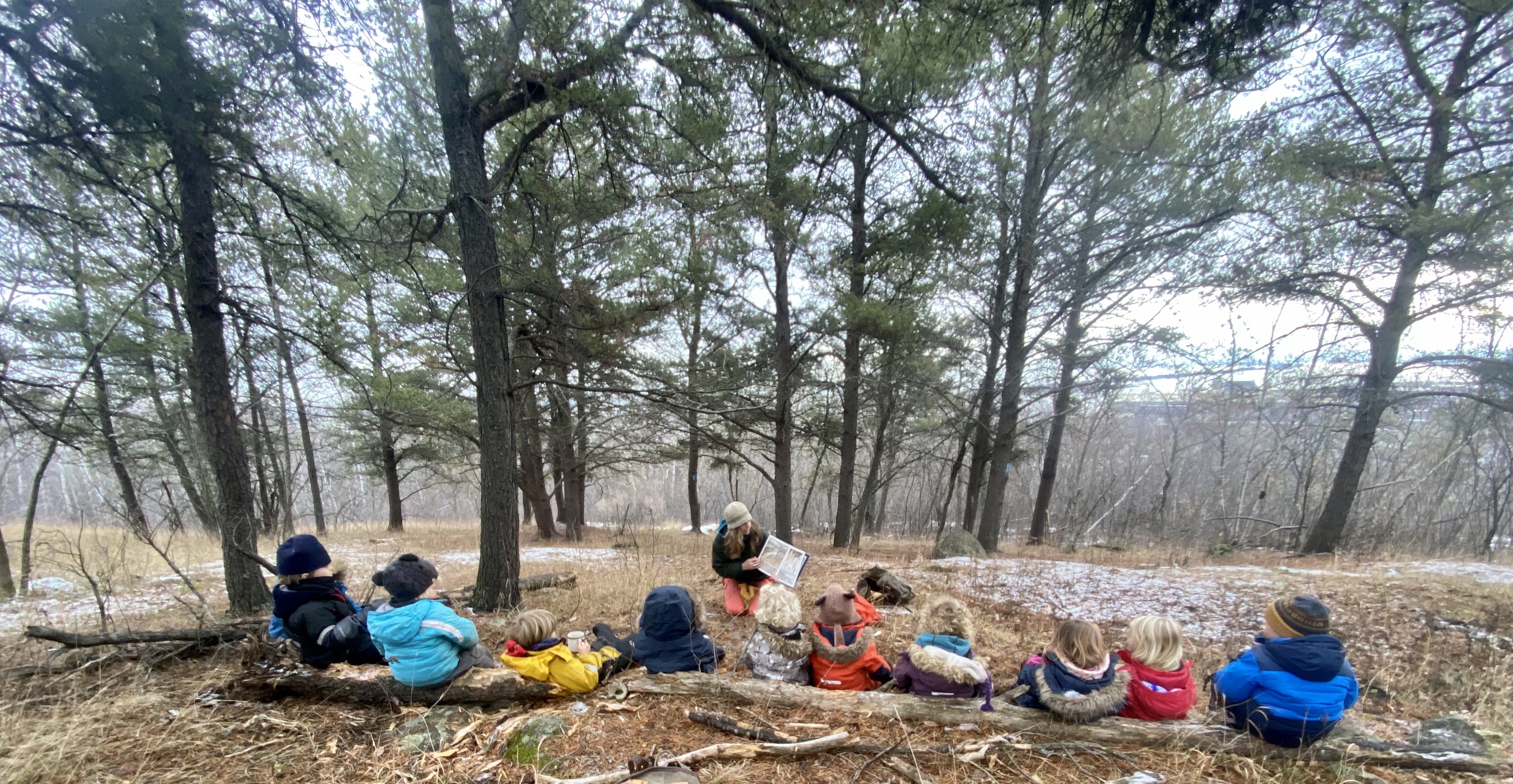 a group of children being taught about nature in the woods