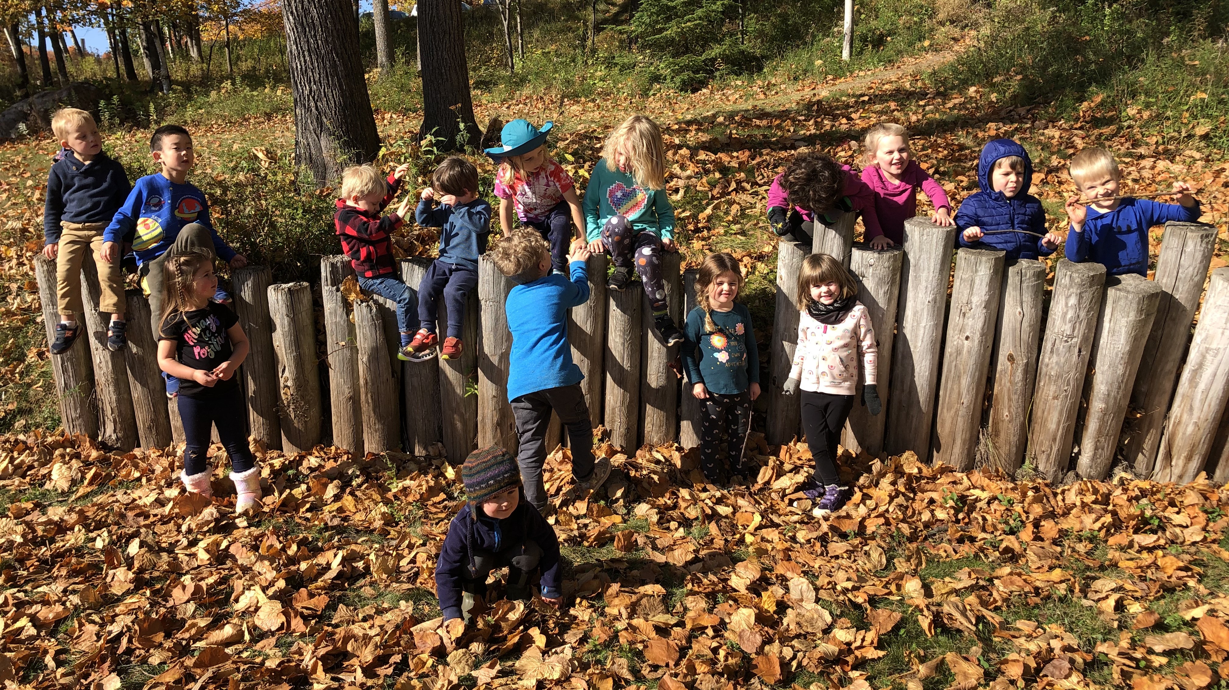 Preschoolers smiling by stood up wood logs on a sunny autumn day 