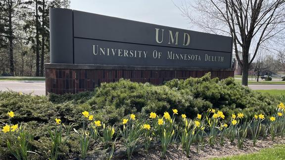 UMD sign with daffodils