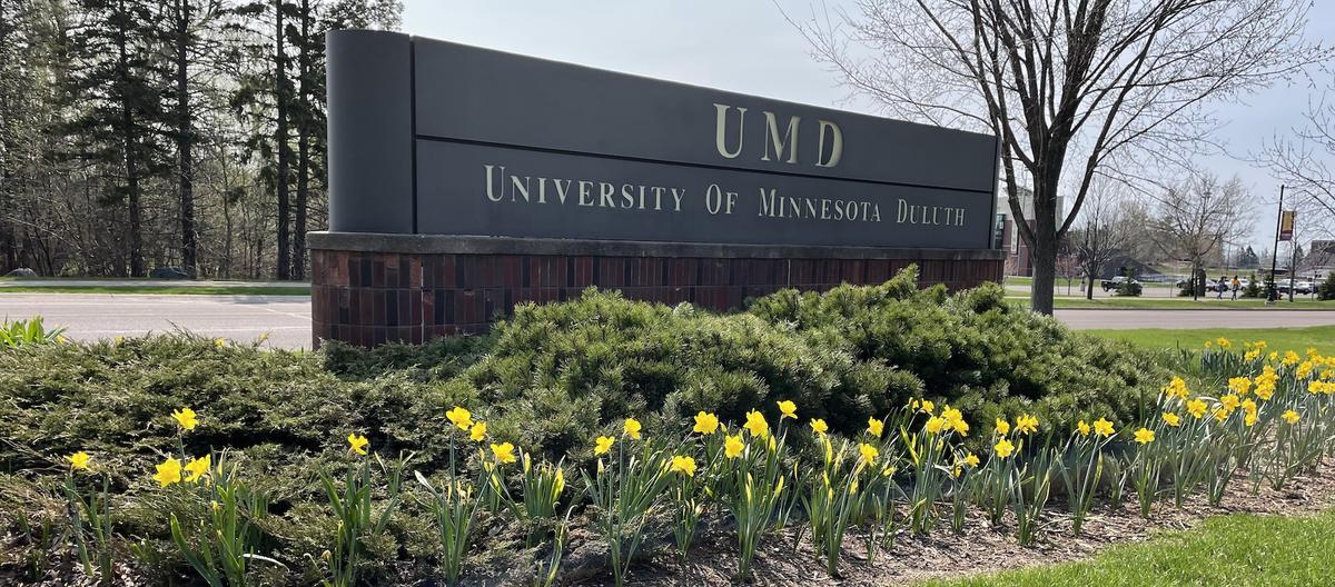 UMD sign with daffodils