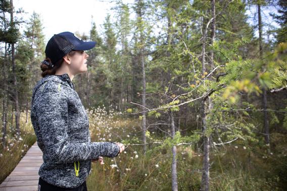 Hannah Juckett in profile wearing a baseball hat. She's on a boardwalk looking off into the woods.