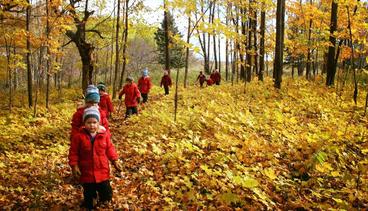 Children walking in the woods with autumn leaves